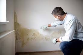 Best Airborne Mold Testing  in Covington, LA